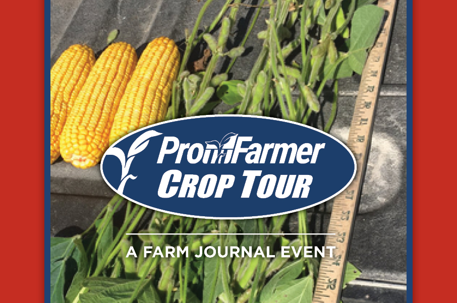 As Scouts Set Out for Pro Farmer Crop Tour, There's One Major Wild Card